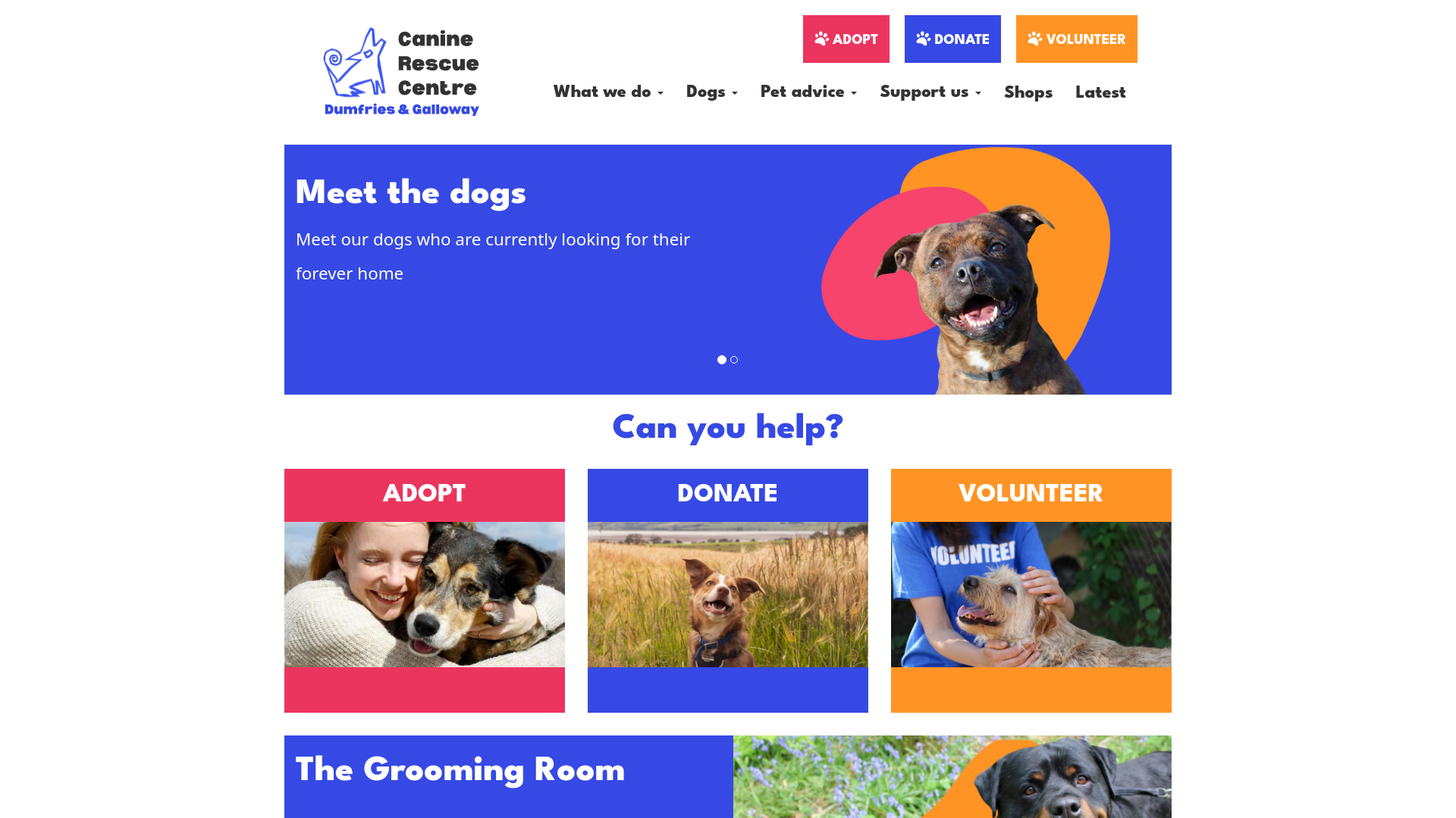 Website screenshot