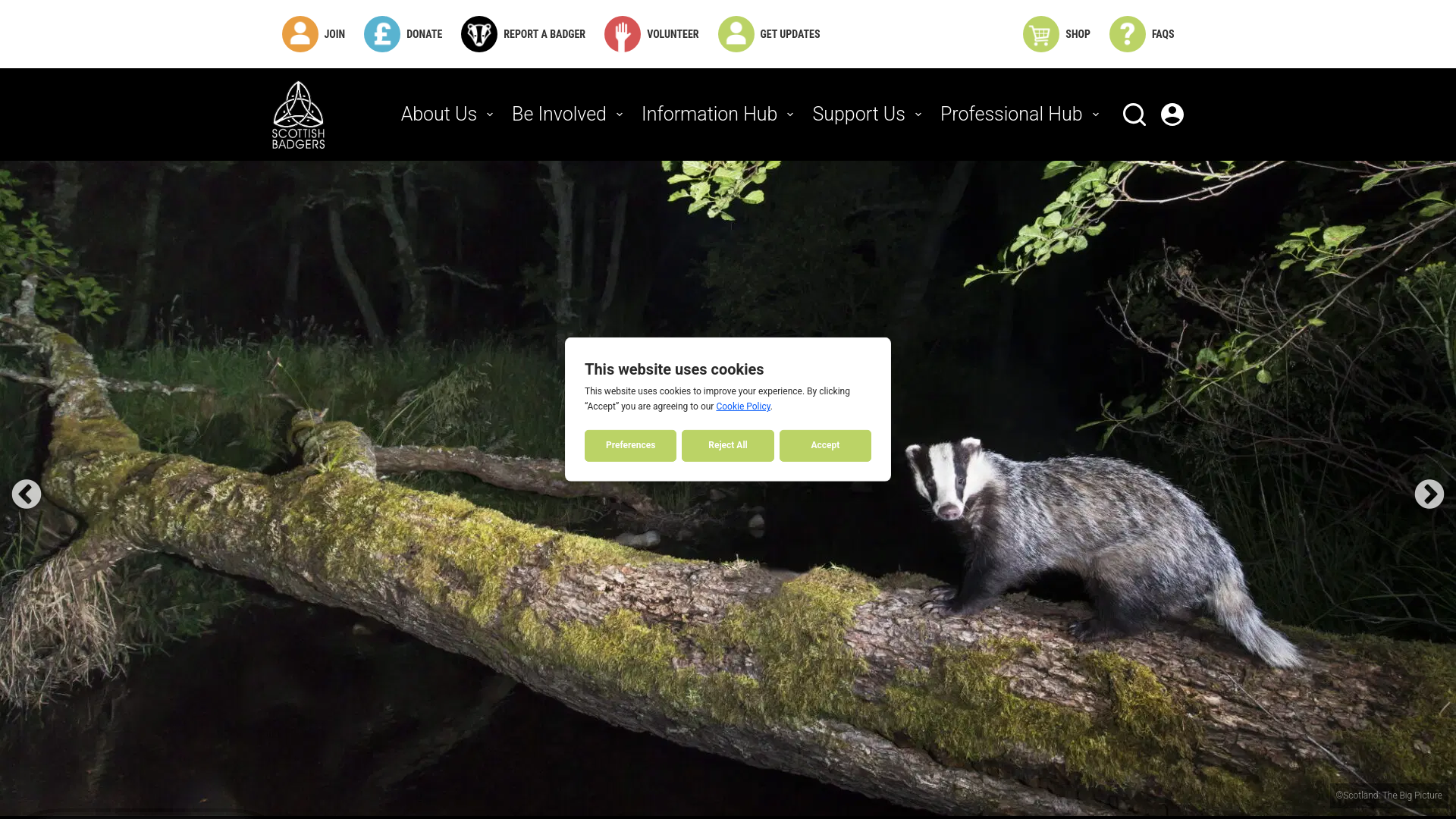 Website screenshot