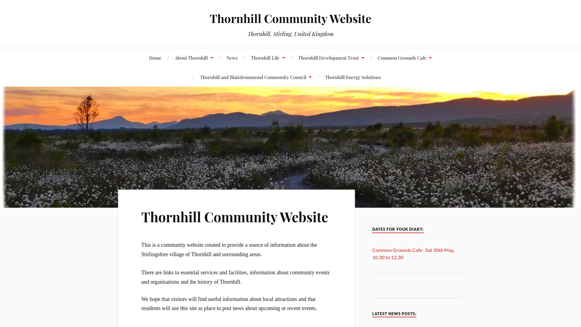 Website screenshot
