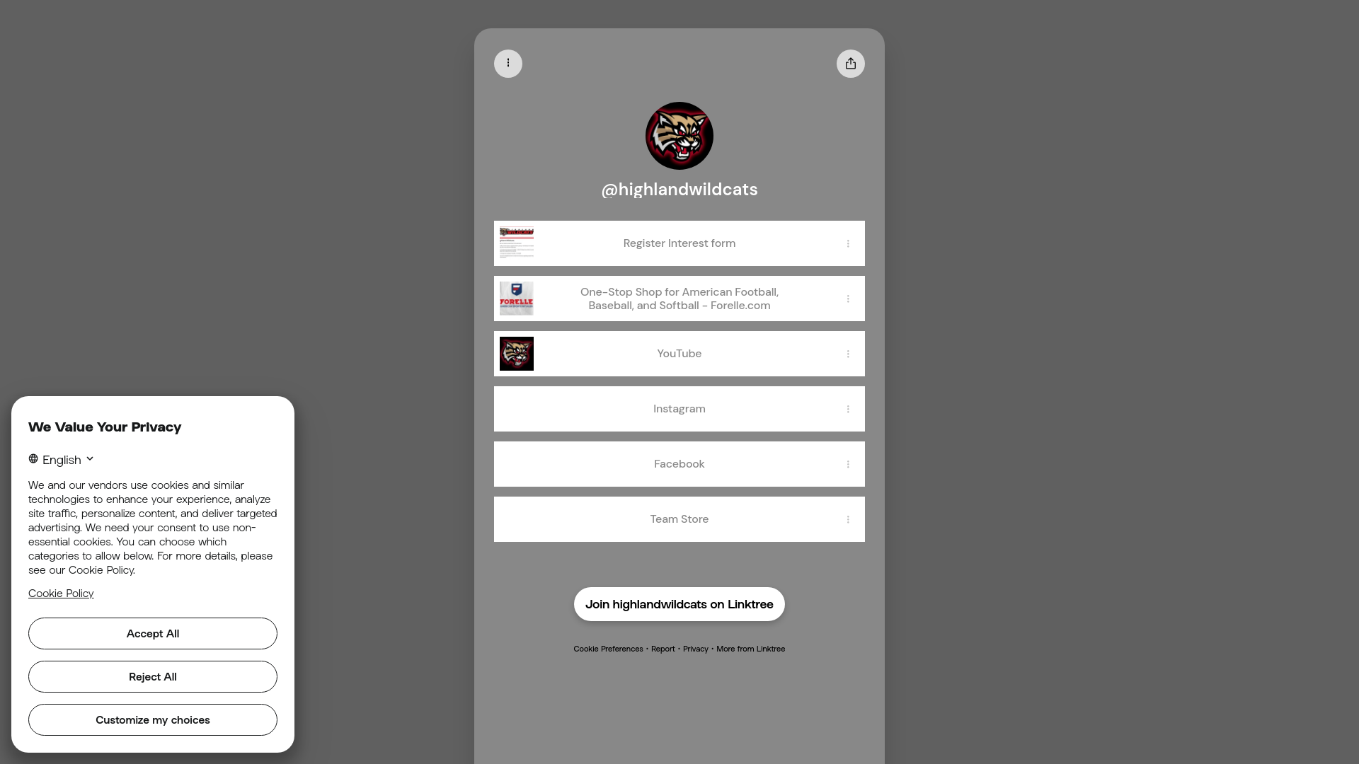Website screenshot