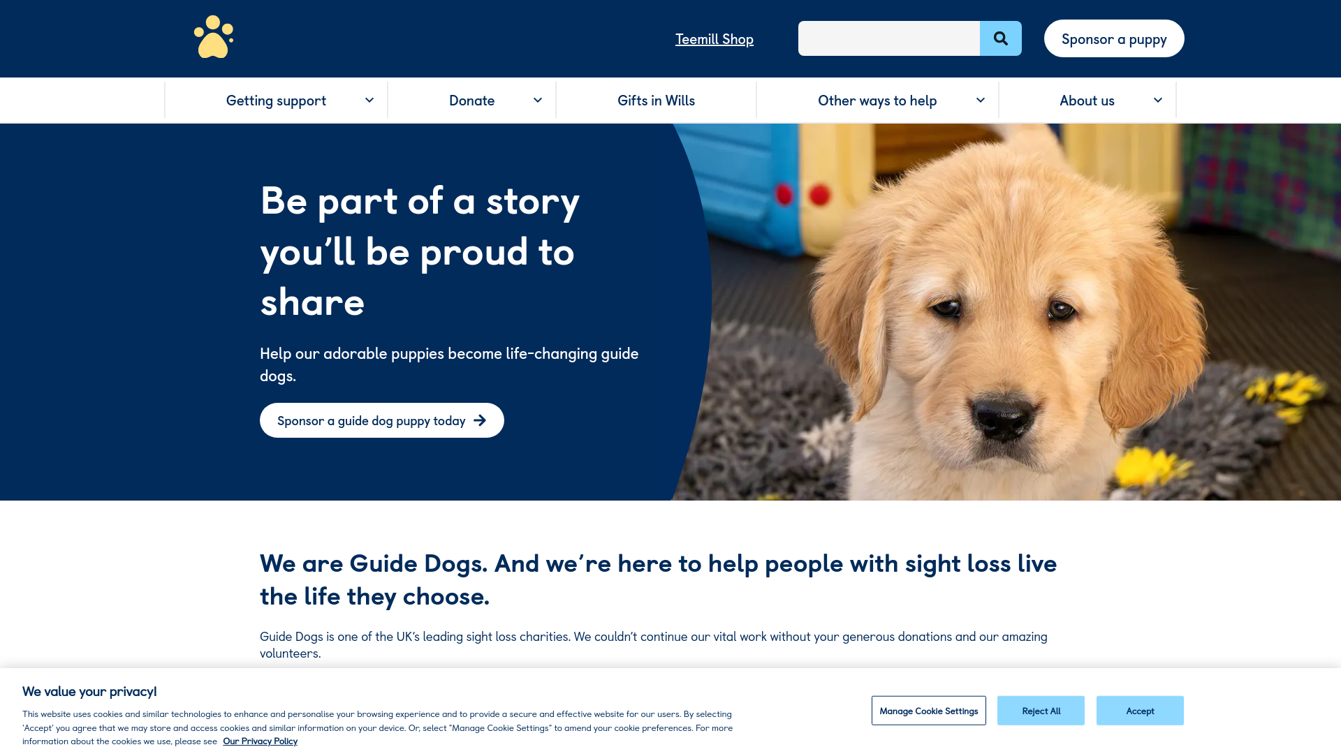 Website screenshot
