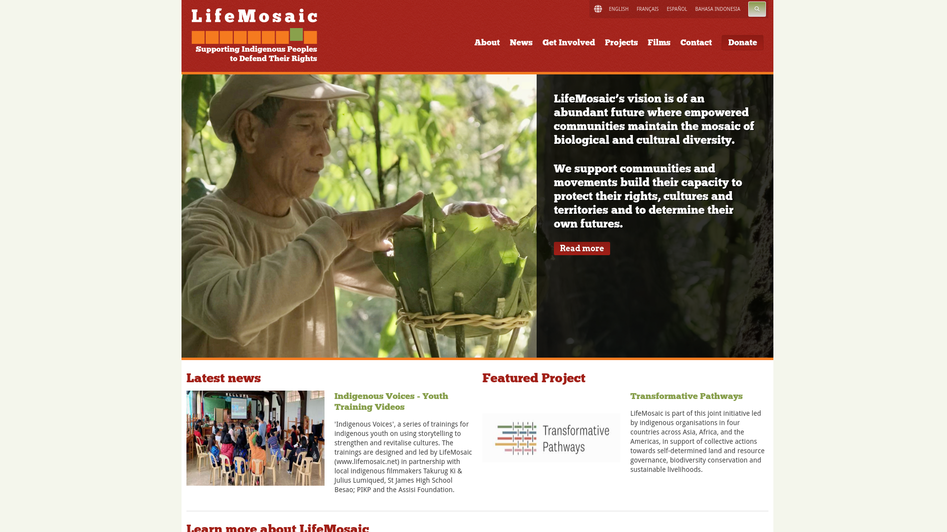 Website screenshot
