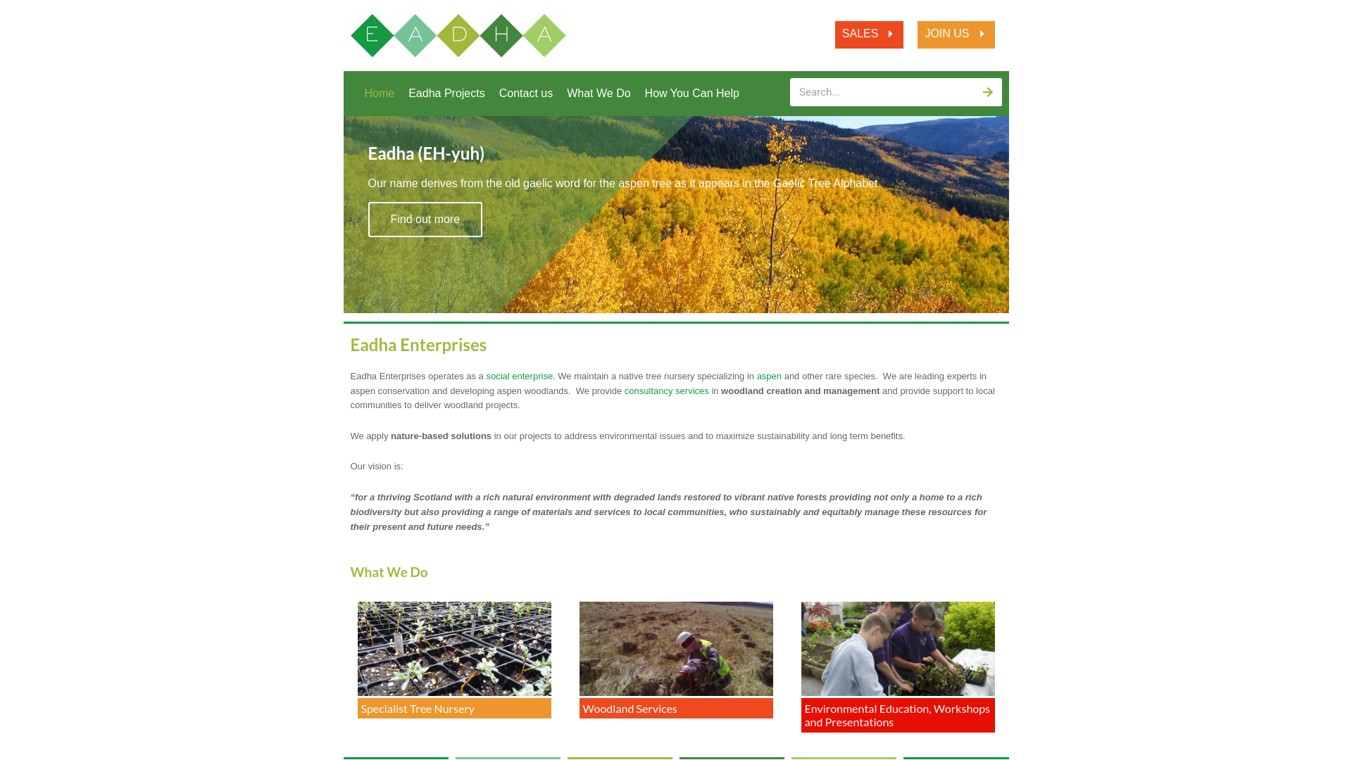 Website screenshot