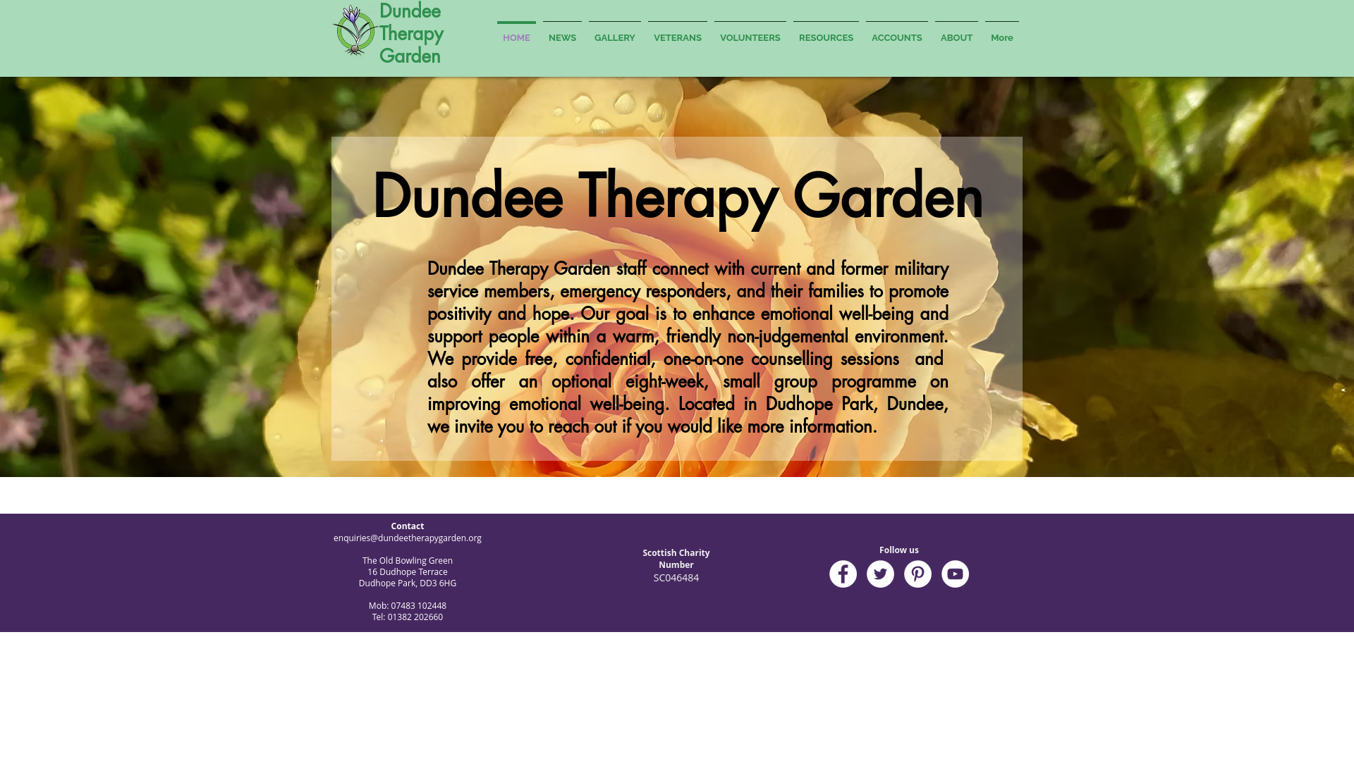 Website screenshot