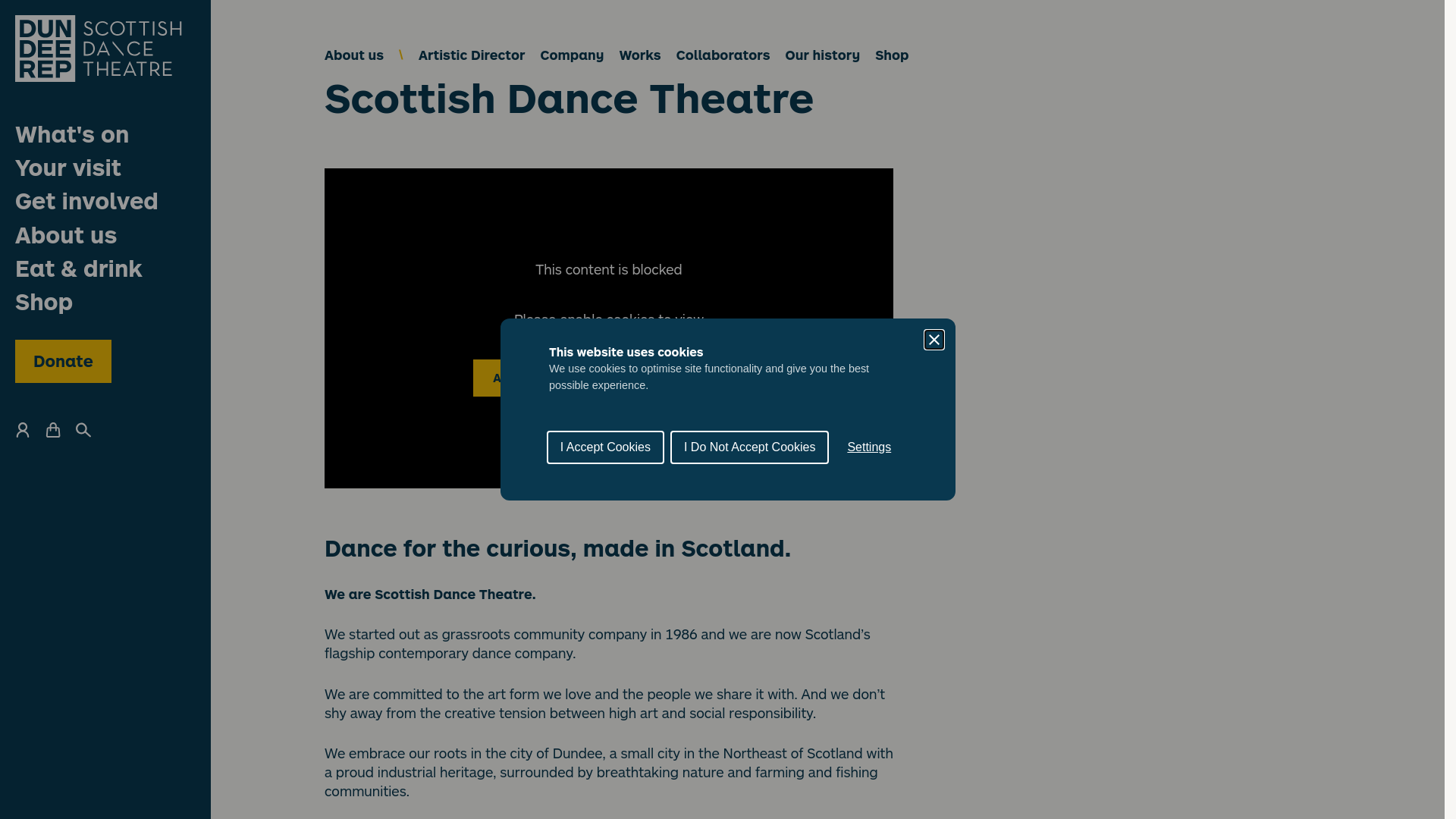 Website screenshot