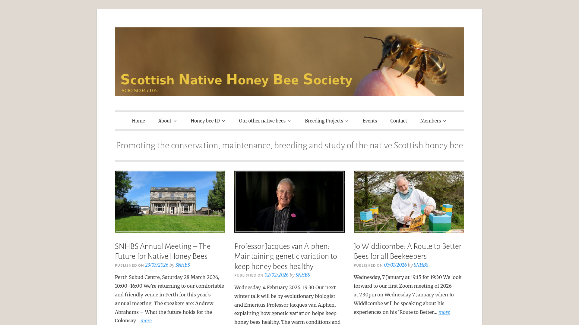 Website screenshot