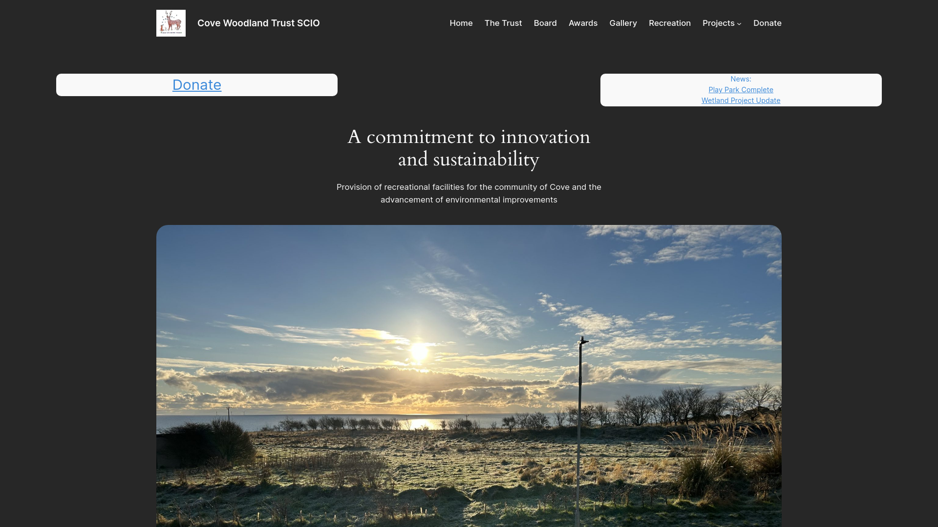 Website screenshot