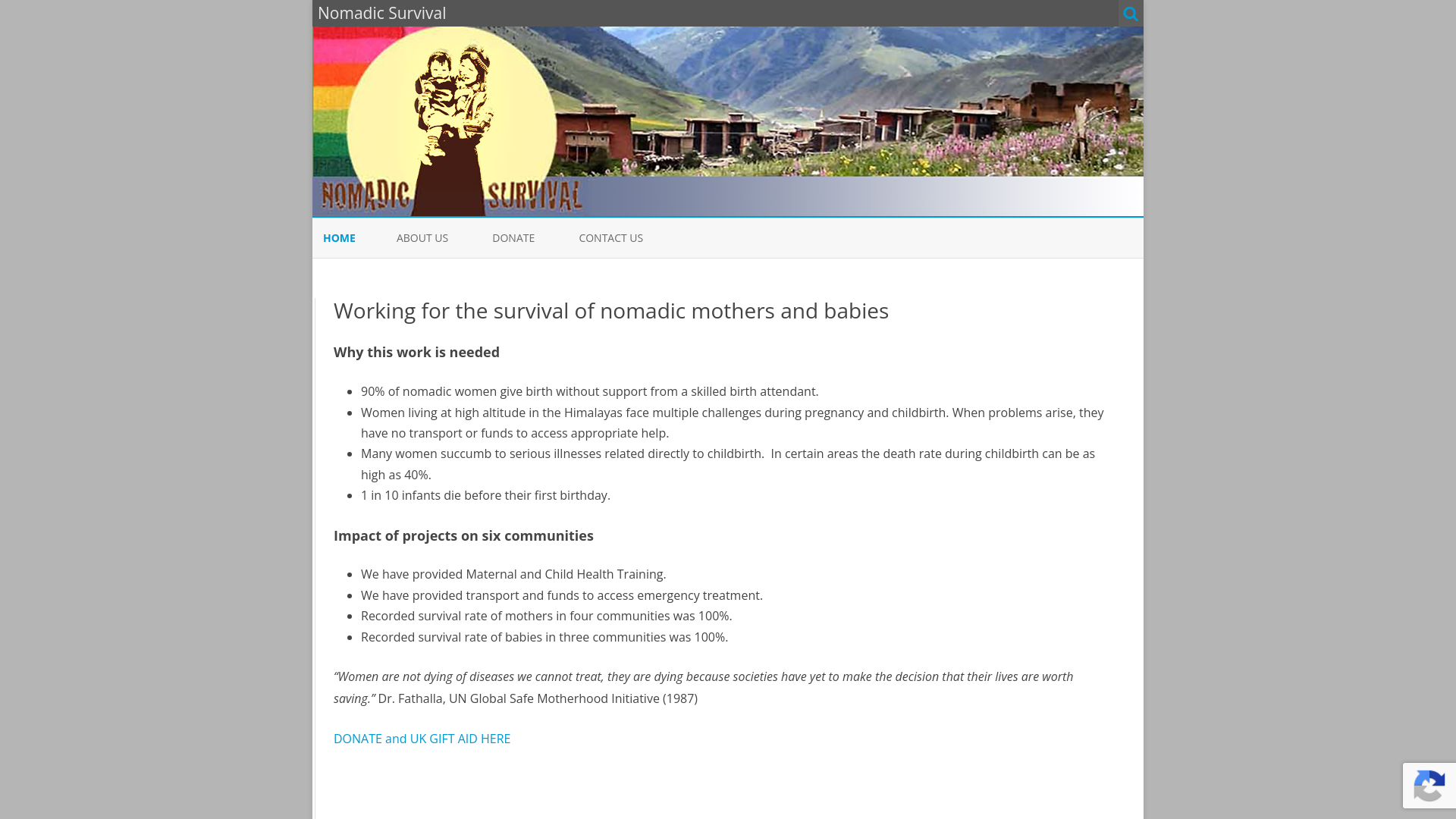 Website screenshot