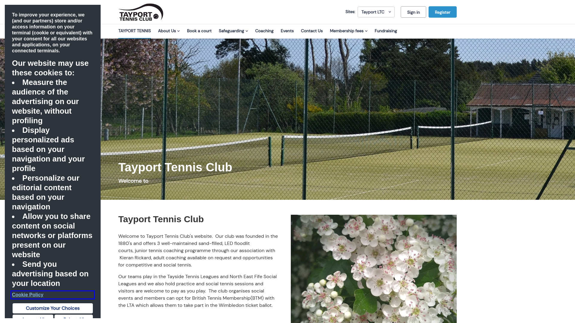 Website screenshot