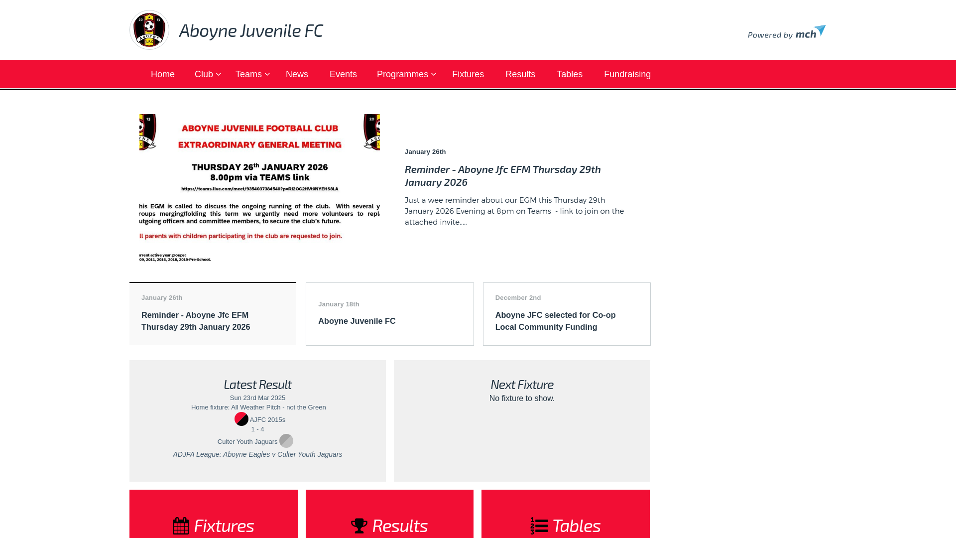 Website screenshot
