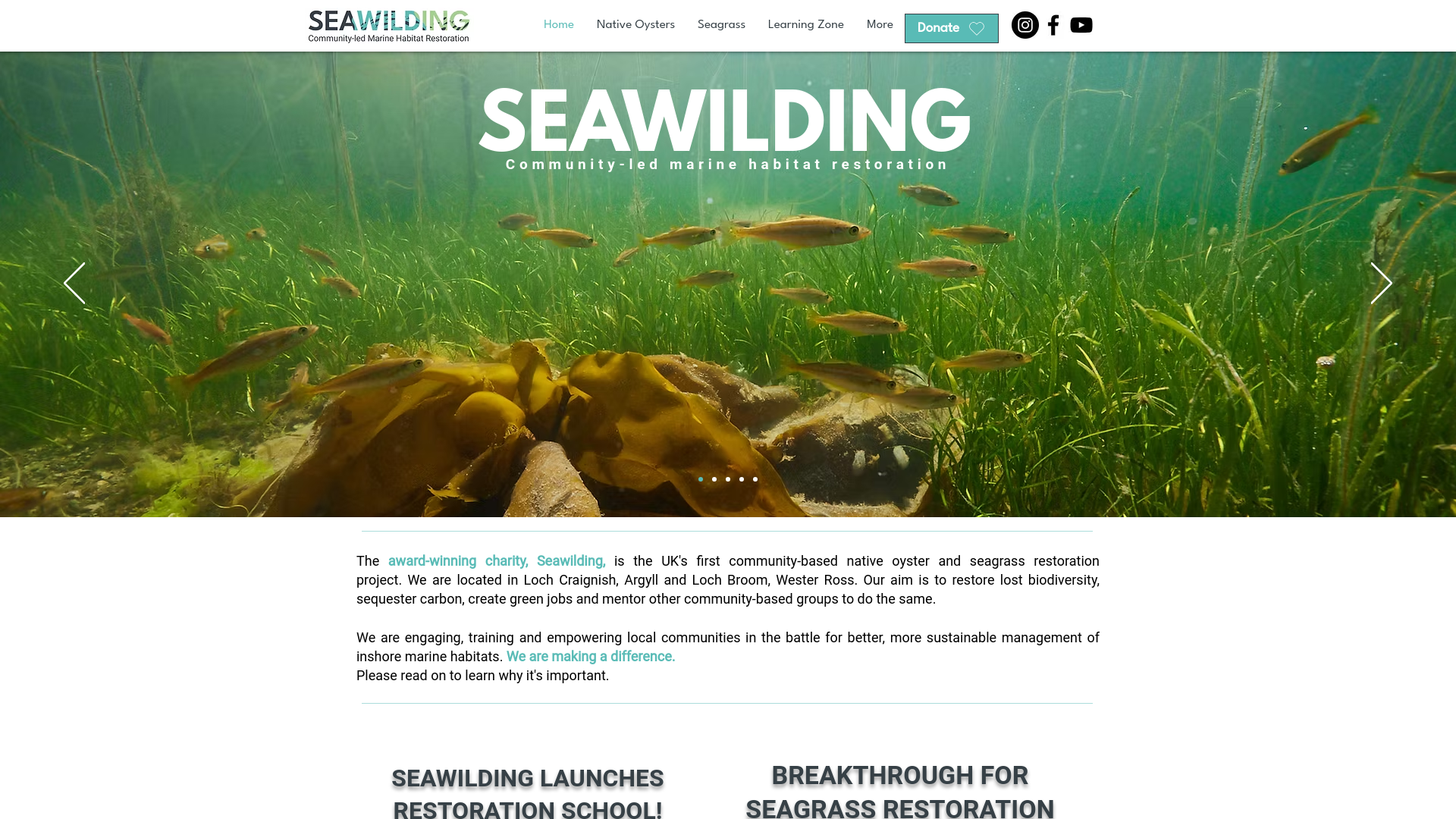 Website screenshot
