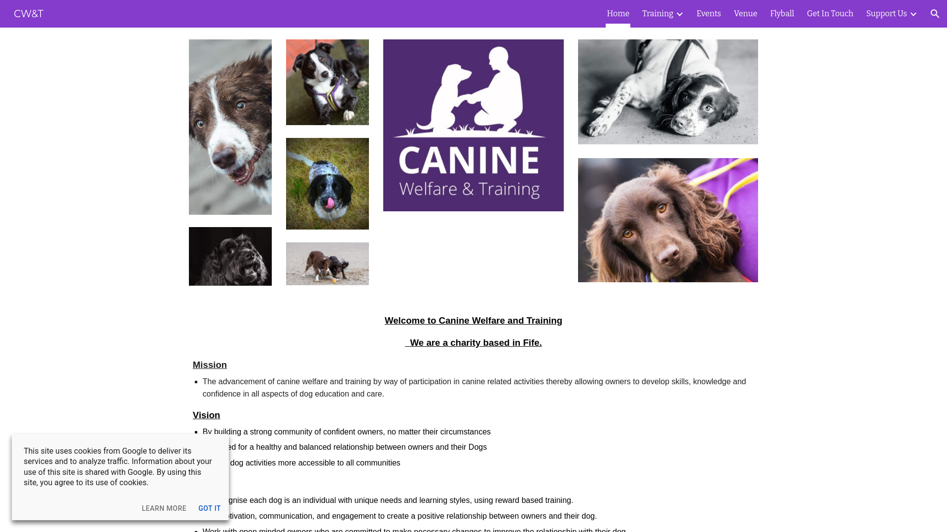 Website screenshot