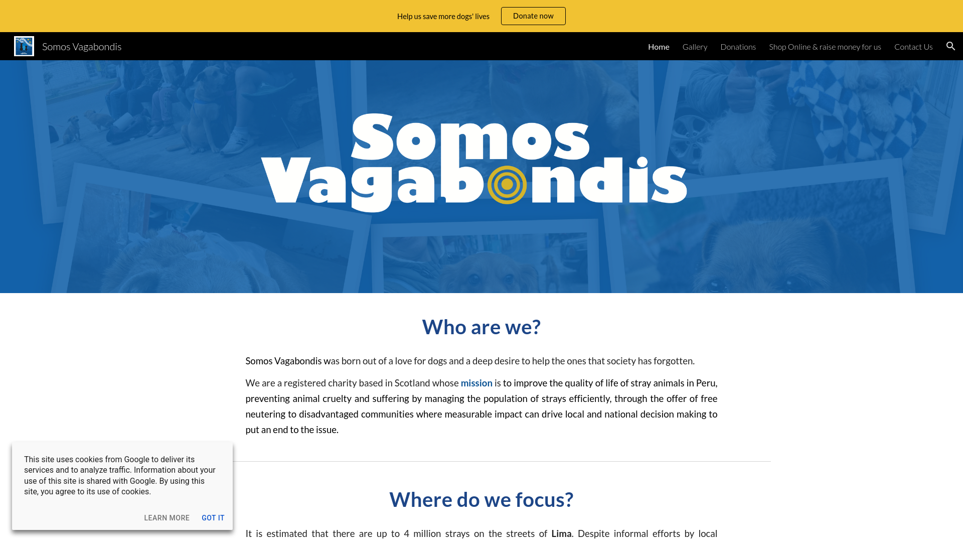 Website screenshot