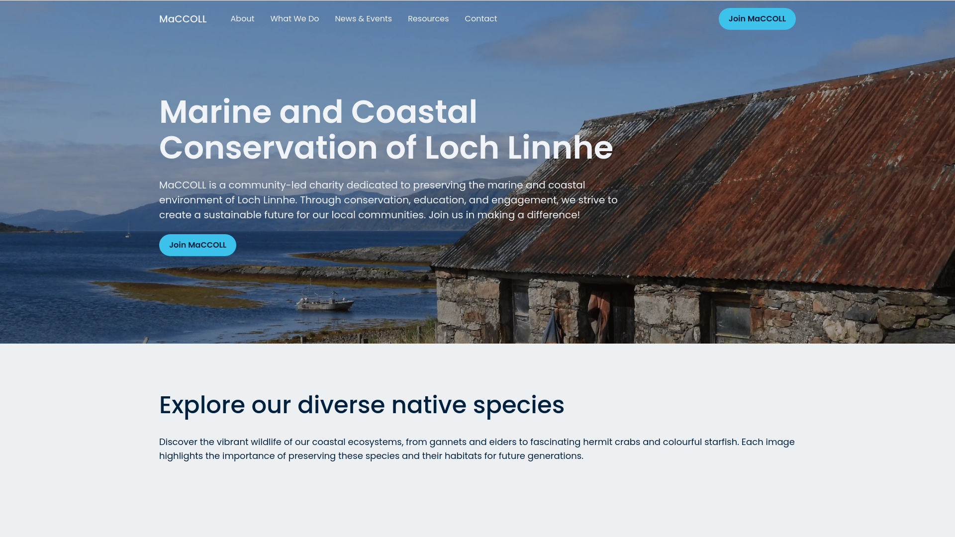 Website screenshot