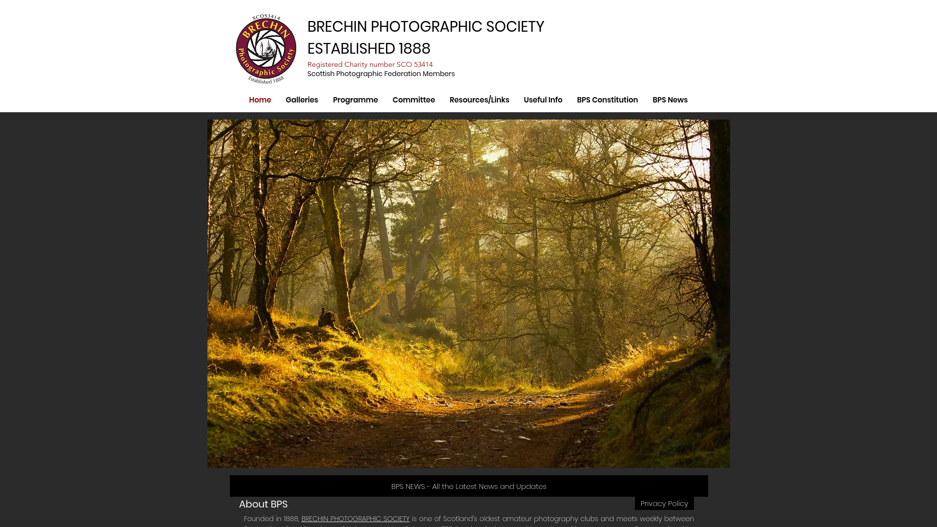 Website screenshot