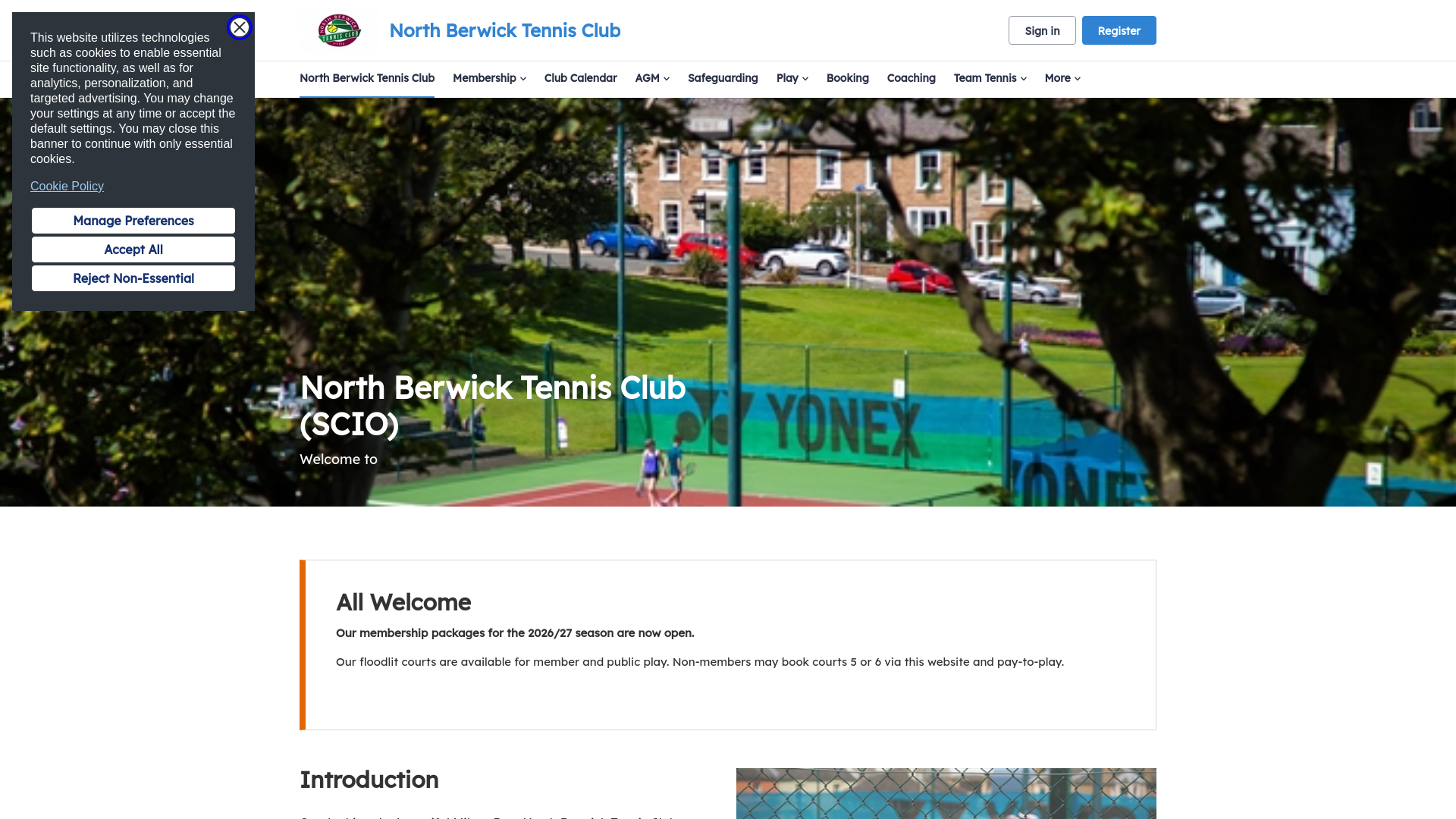 Website screenshot